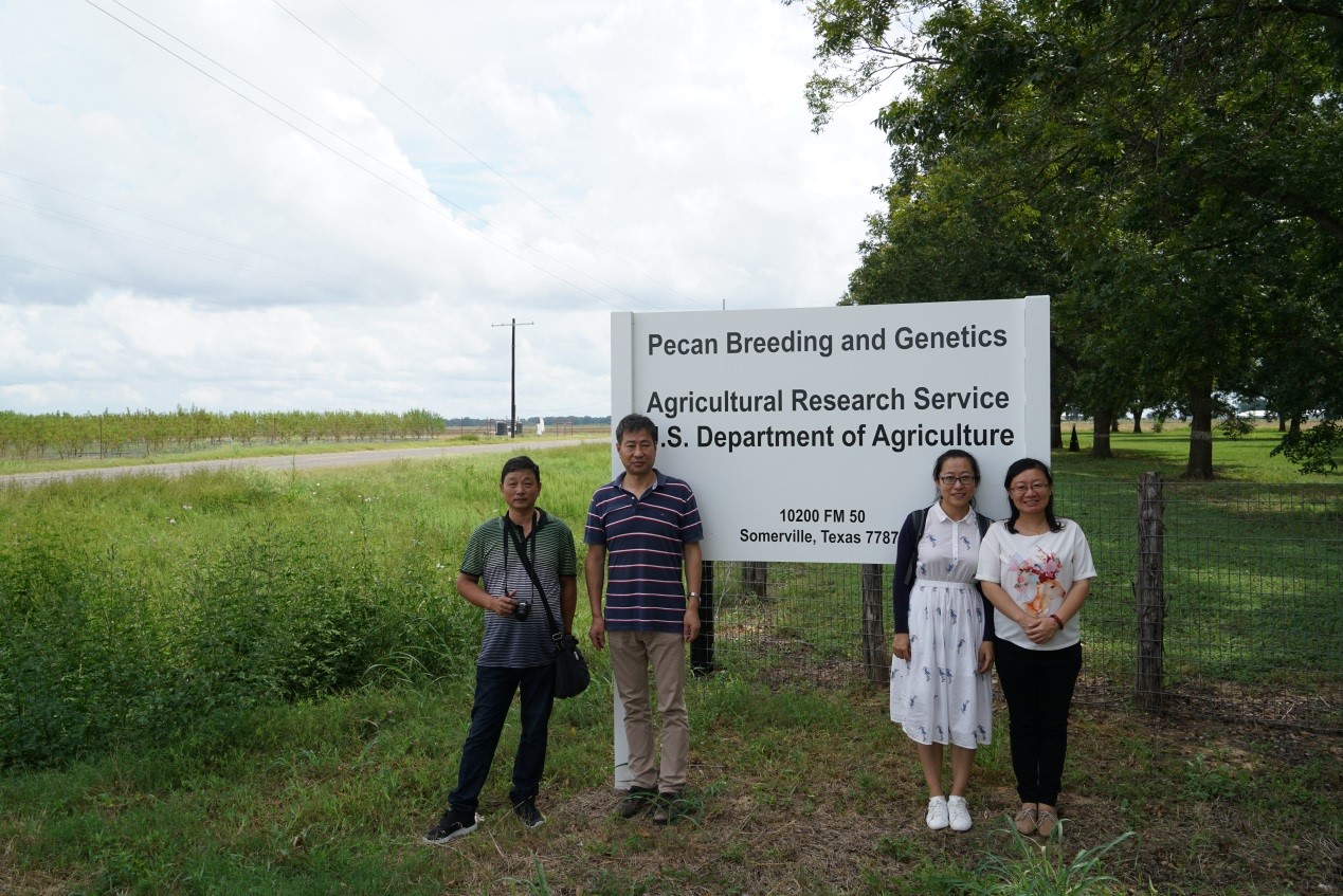 我所经济植物中心科研人员赴美国开展薄壳山核桃合作交流