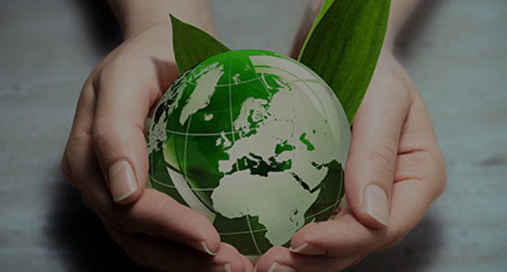 团结协作，不畏艰险，为收集和保藏科研材料不断努力