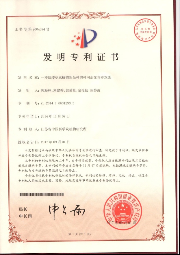 发明专利- 一种结缕草属新品种的种间杂交育种方法