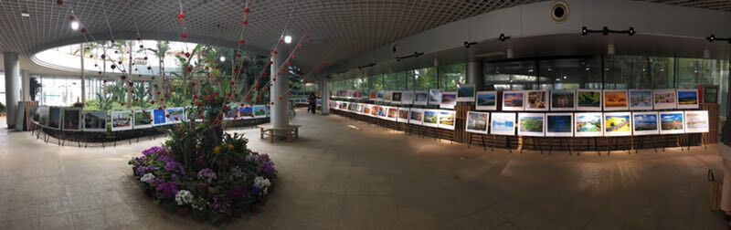 永盈彩票与江苏省生态文明研究与促进会合作举办第二届江苏省生态文明建设摄影展