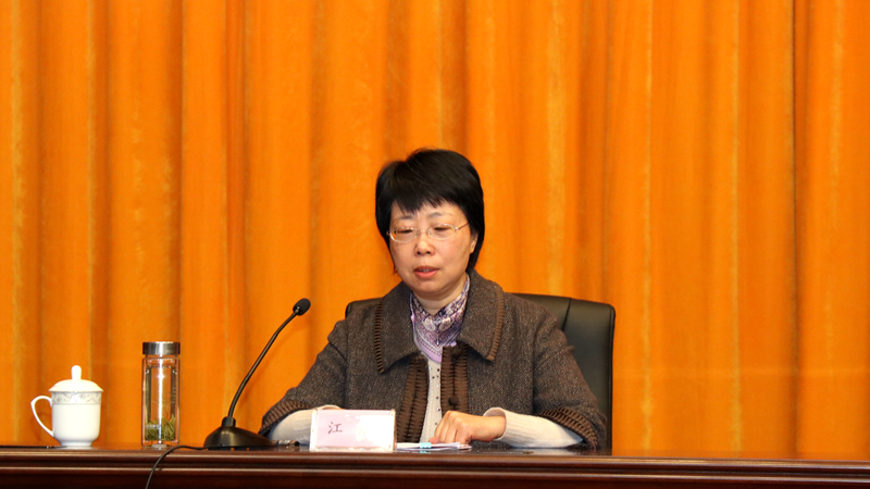 江南副书记主持会议.jpg 江南副书记主持会议.jpg