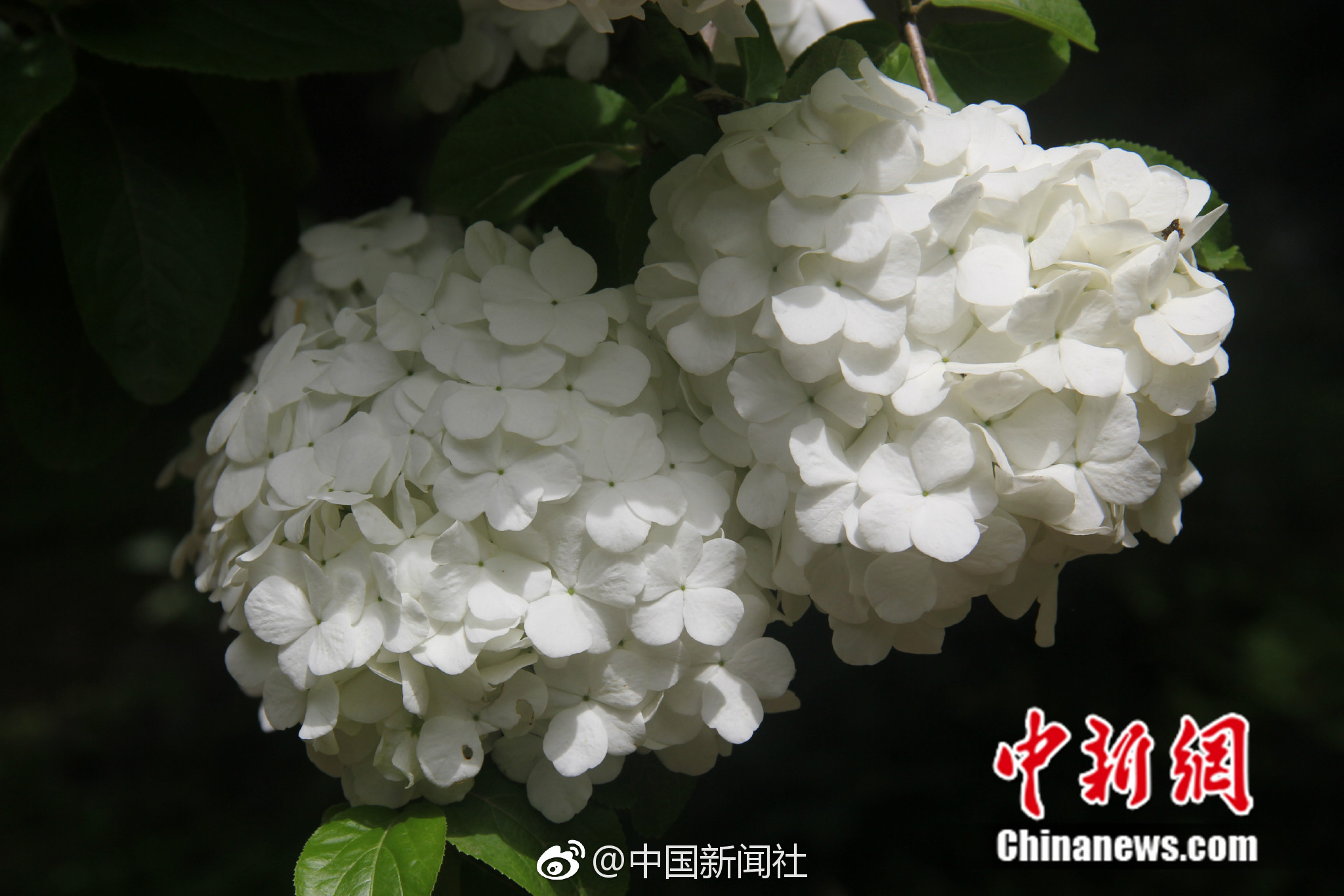 d6d6719bly1fqi9etf5lkj21kw11xtyf.jpg d6d6719bly1fqi9etf5lkj21kw11xtyf.jpg