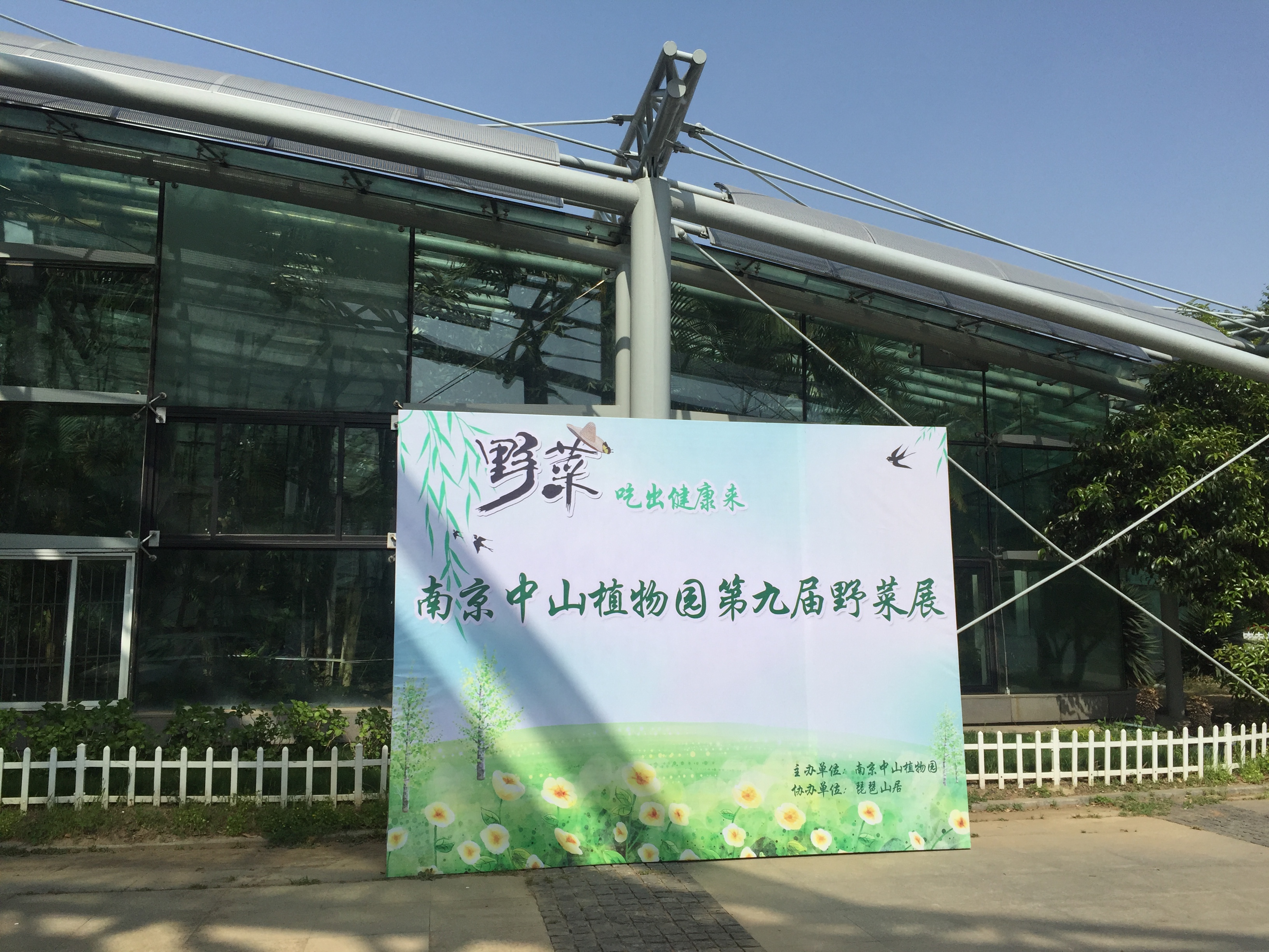 【江苏科技报&middot;直播】舌尖上的野菜