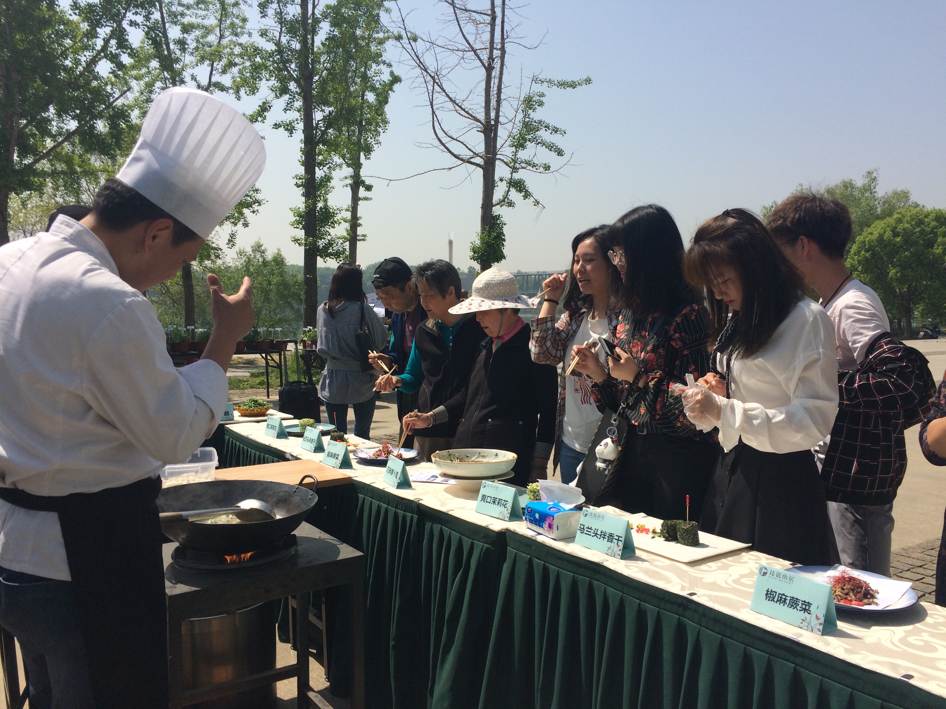 【南京晨报】马兰头、苜蓿头、菊花脑&hellip;&hellip;  中山植物园展出近70种野菜