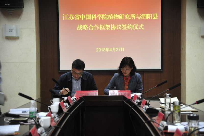 泗阳慰问2.jpg 泗阳慰问2.jpg