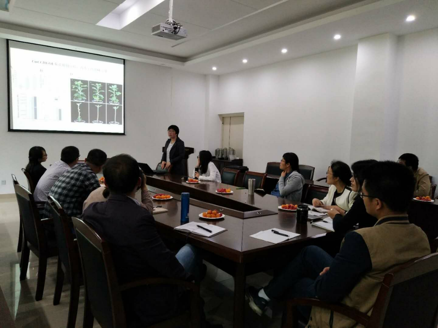 观赏植物研究中心举办学术沙龙活动