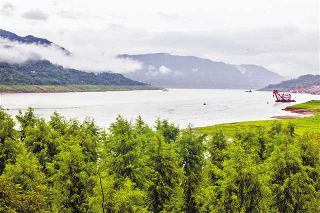 央视《直播长江》节目报道我所选育的中山杉在重庆三峡库区生态修复应用成果