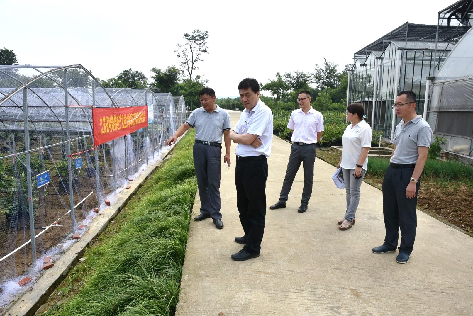 黑莓课题组黑莓、蓝莓种质资源收集取得新进展