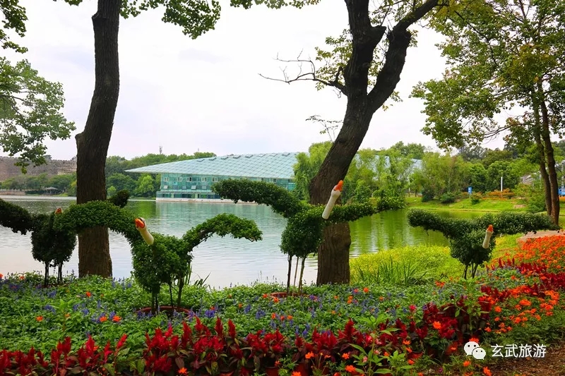 【玄武旅游】何必羡慕远方？这个国庆，你身边就有五彩&ldquo;花花世界&rdquo;~南京人即将涌入！