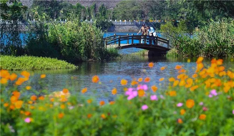 44.webp.jpg 44.webp.jpg