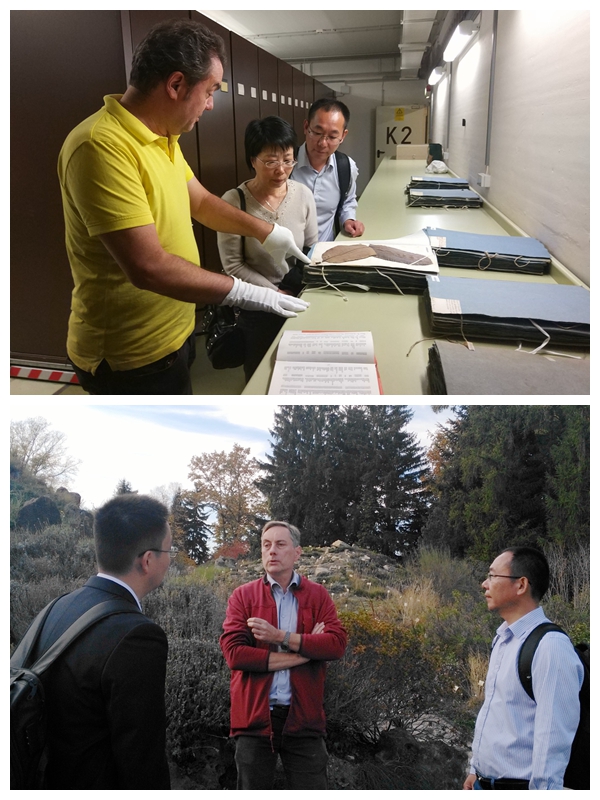 与大莱植物园标本馆、专类园科研人员交流.jpg 与大莱植物园标本馆、专类园科研人员交流.jpg