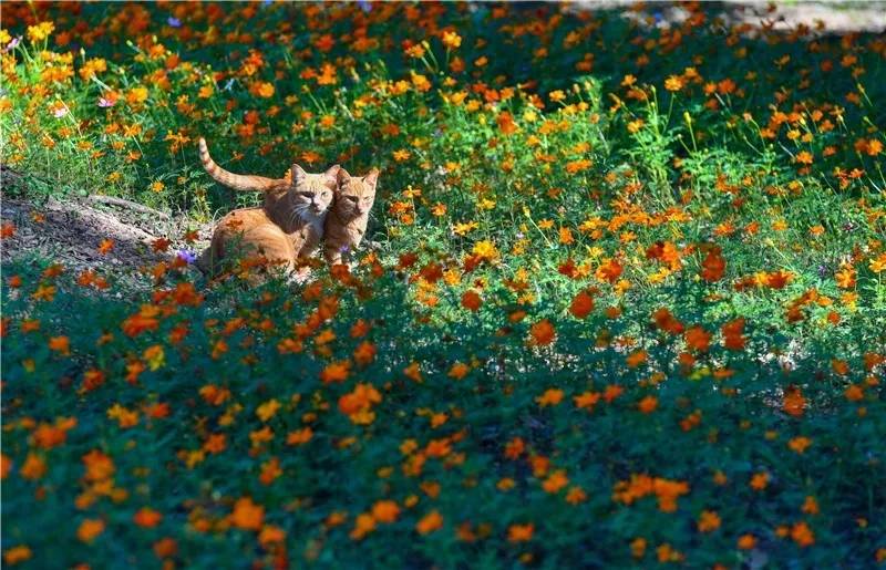 55.webp.jpg 55.webp.jpg