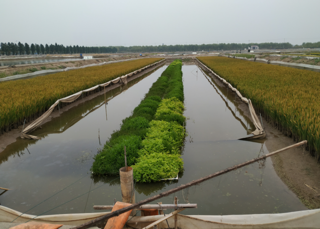  我所承担的省级渔业科技类项目顺利通过专家中期评估会