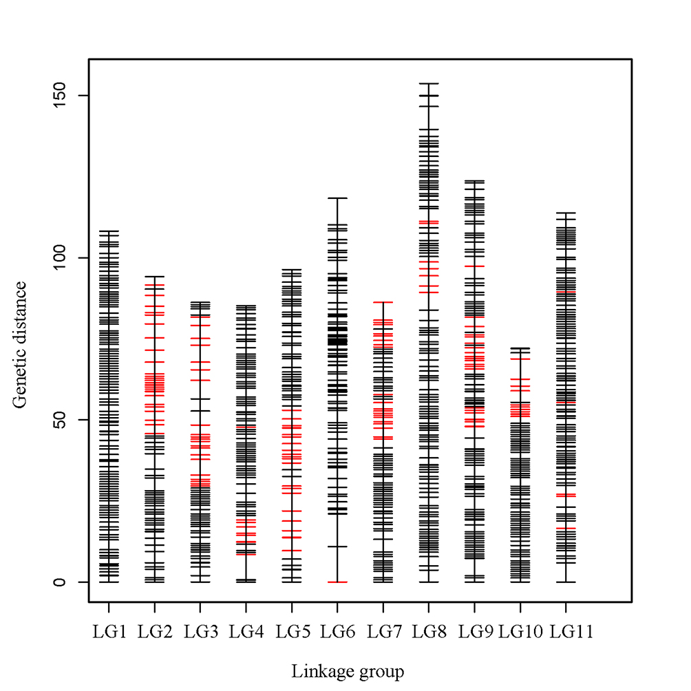 永盈彩票在中山杉遗传图谱构建及生长性状遗传机理研究方面取得阶段性进展