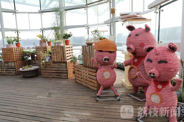 【荔枝网】猪年看&ldquo;猪&rdquo;植物展 永盈彩票等你来哟