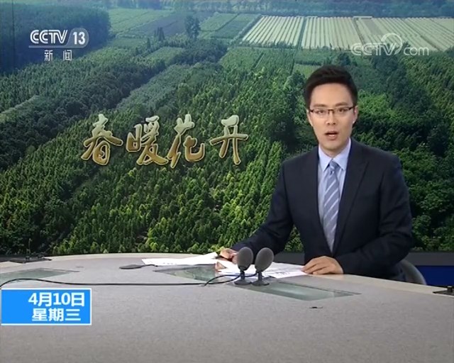 最是一年春光好，植树护绿正当时&mdash;&mdash;央视新闻频道连续跟踪报道中山杉在长江消落带生态修复中的应用情况