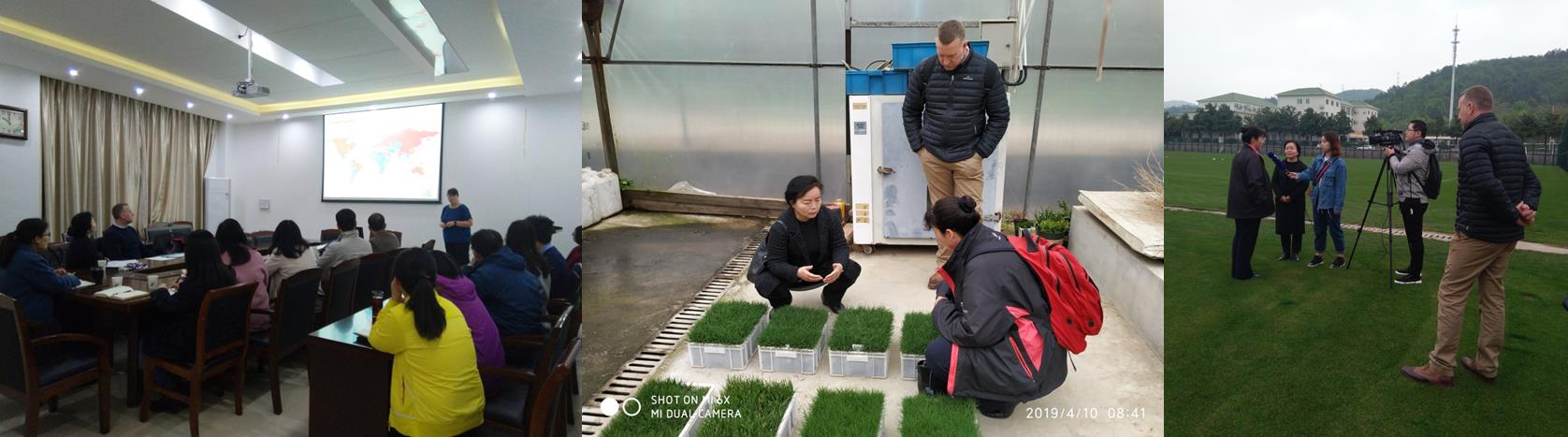英国运动场草坪研究所专家来所访问交流