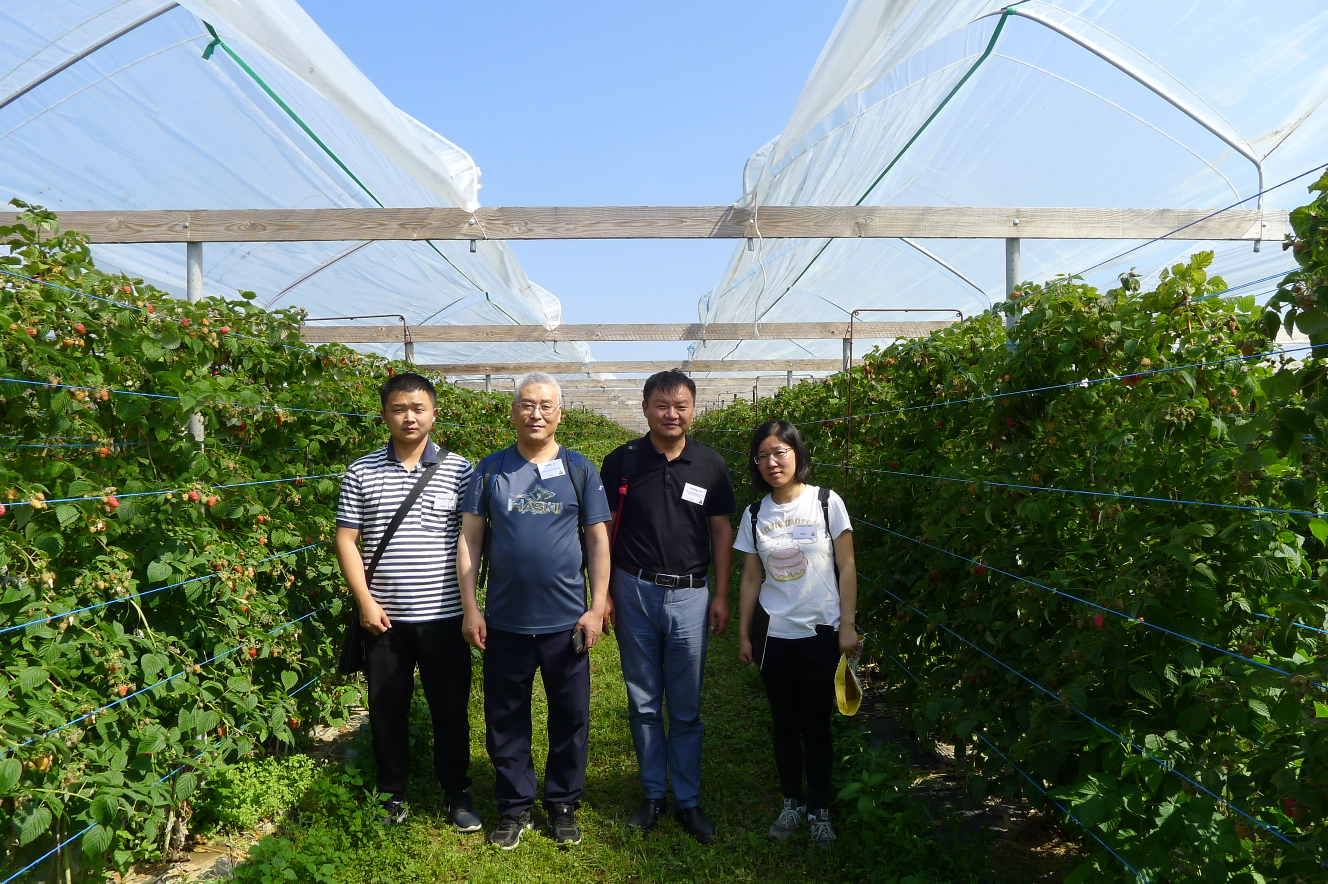 我所科研人员赴德国瑞士参加第12届悬钩子与茶藨子国际研讨会