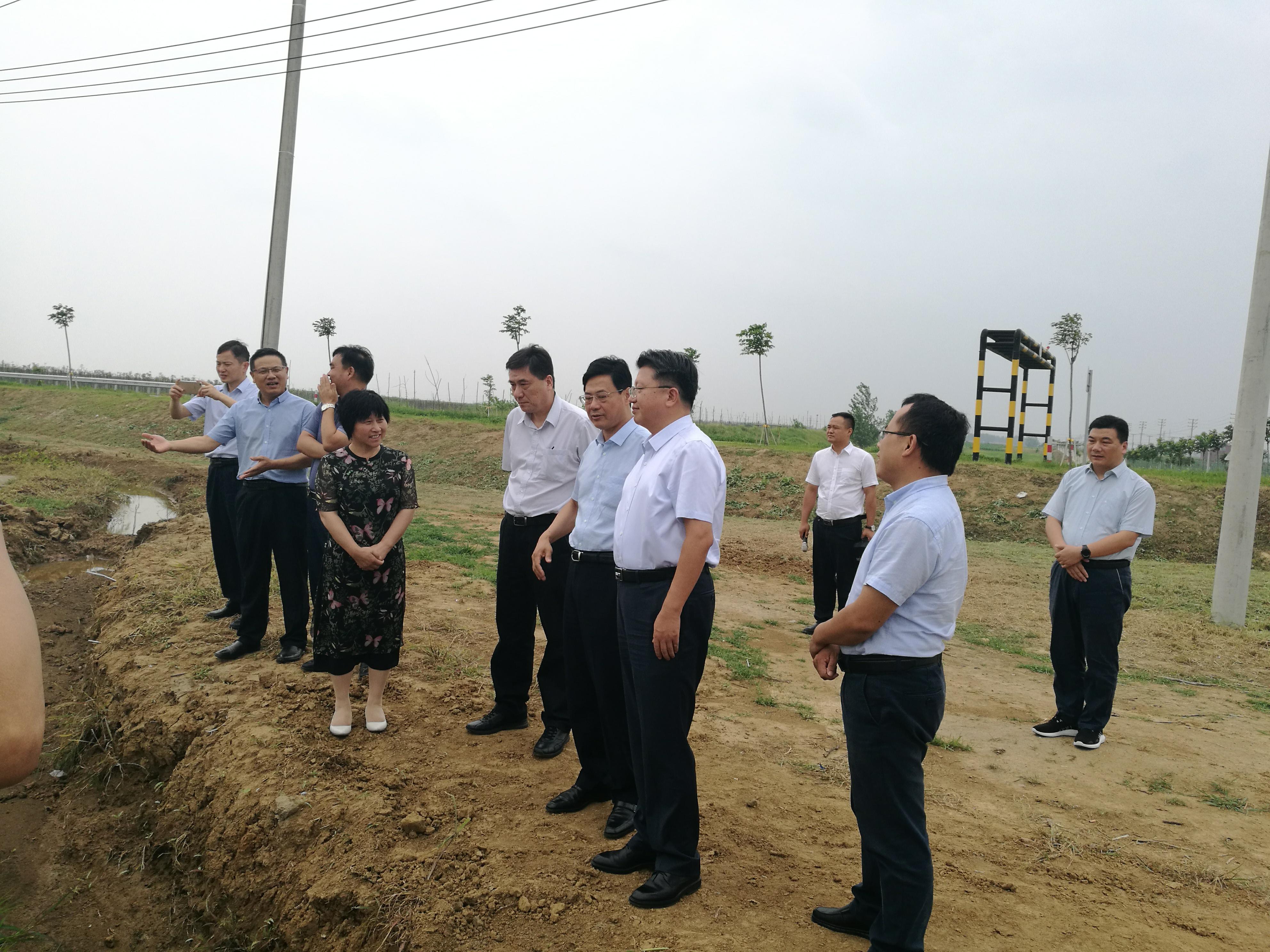 泗洪碧根果产业繁殖基地1.jpg 泗洪碧根果产业繁殖基地1.jpg