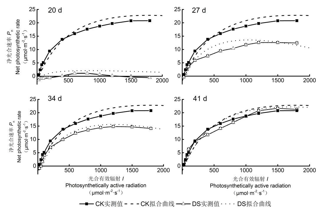永盈彩票在海滨木槿耐旱性研究方面取得新进展