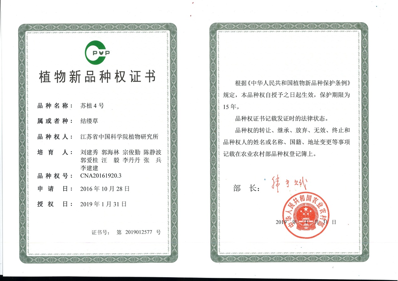 永盈彩票草坪草育种工作再获新成果