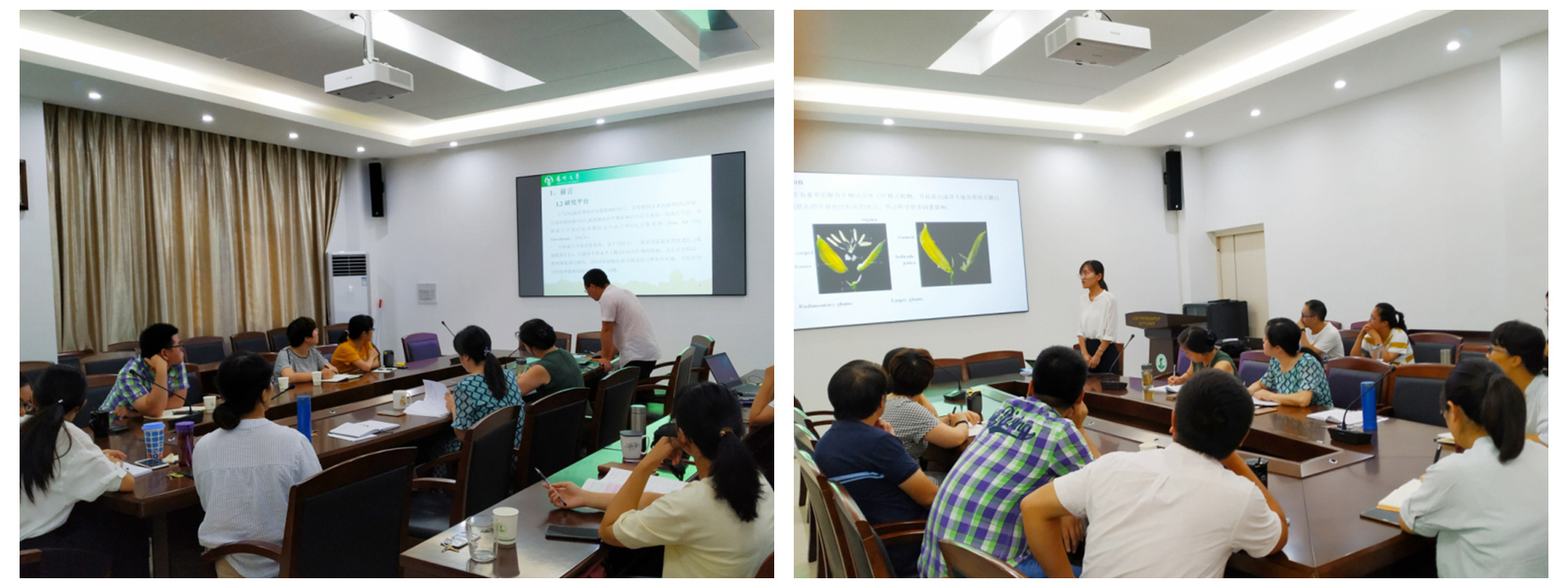 草业研究中心成功举办2019年第二次学术报告（沙龙）活动