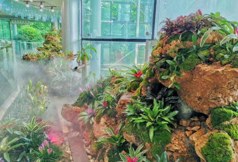 【中国江苏网】迎国庆 永盈彩票主题植物展精彩亮相