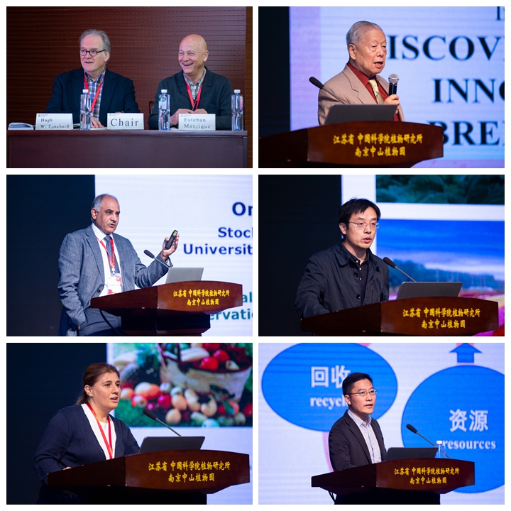 19日 上午 theme 3.jpg 19日 上午 theme 3.jpg