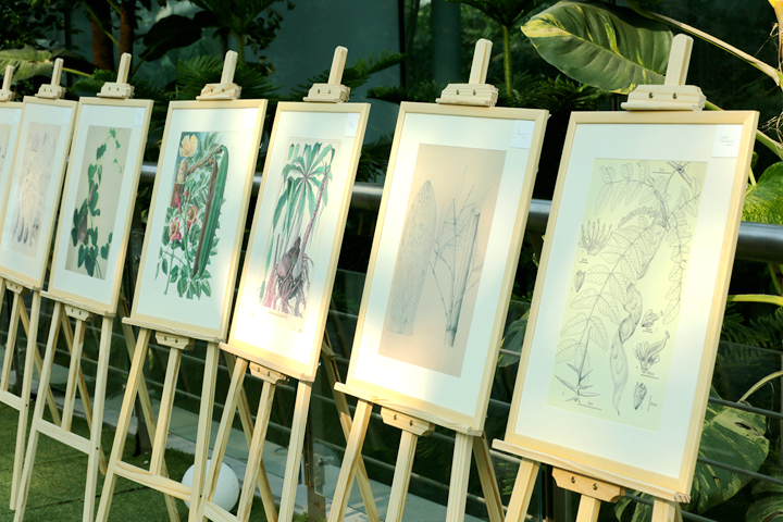 嘉卉 (3)_副本.jpg 嘉卉 (3)_副本.jpg