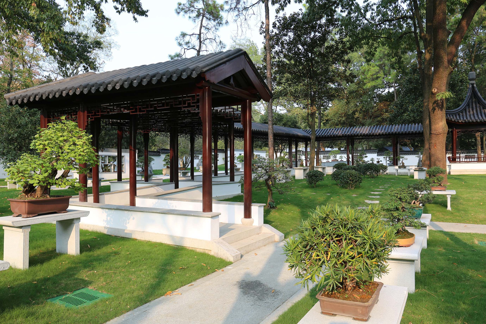 【紫金山新闻】金钱松、银缕梅、龟甲牡丹&hellip;&hellip;一批珍稀植物将在这里集中亮相！