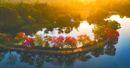 【江苏科技报】现代植物科学发展的见证者&mdash;永盈彩票迎来90华诞