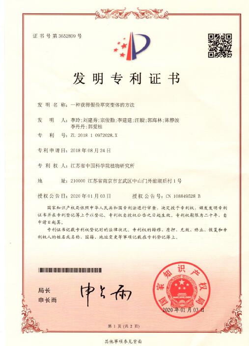 &ldquo;一种获得假俭草突变体的方法&rdquo;获得国家发明专利授权