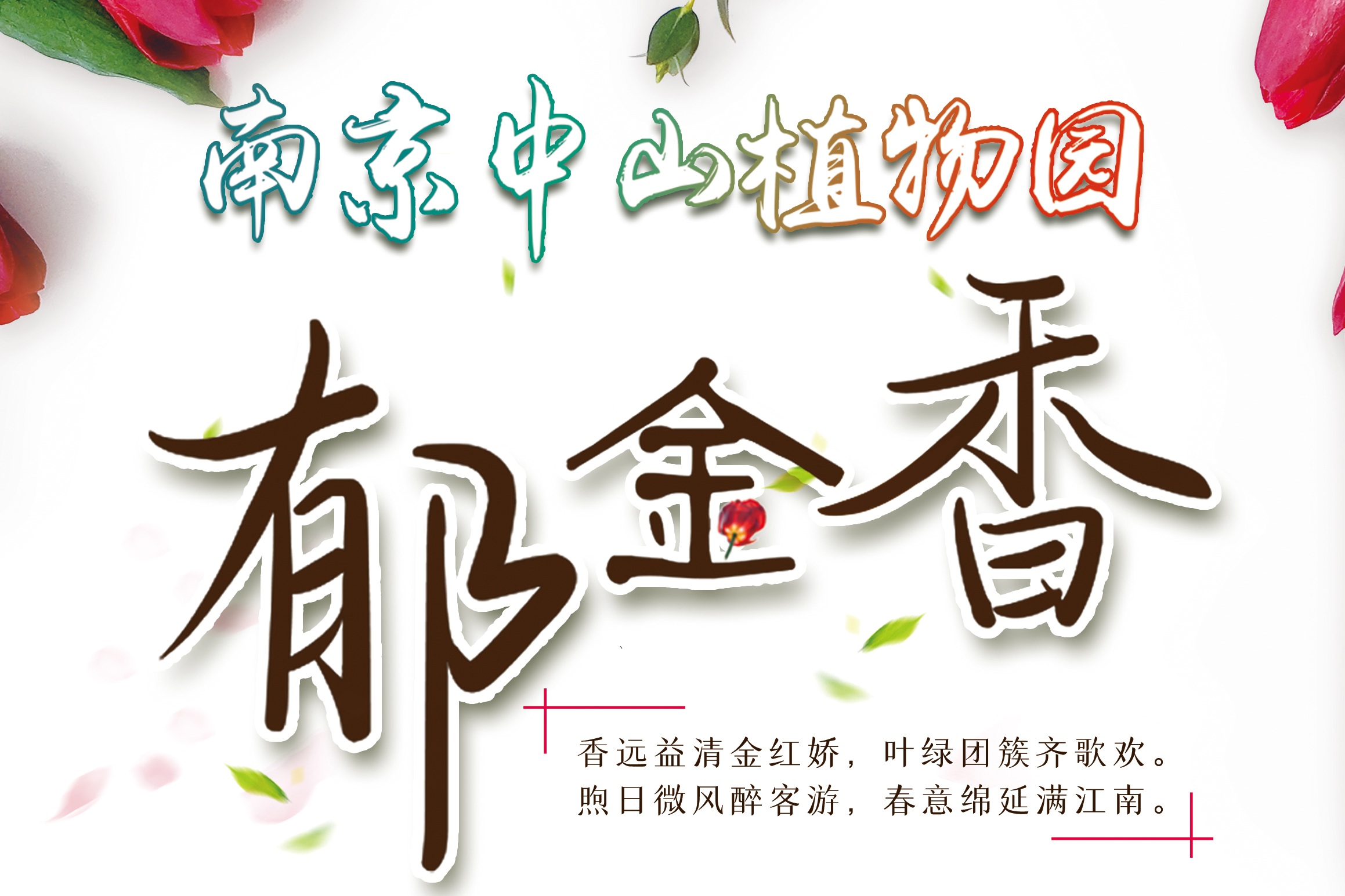 永盈彩票郁金香文化展