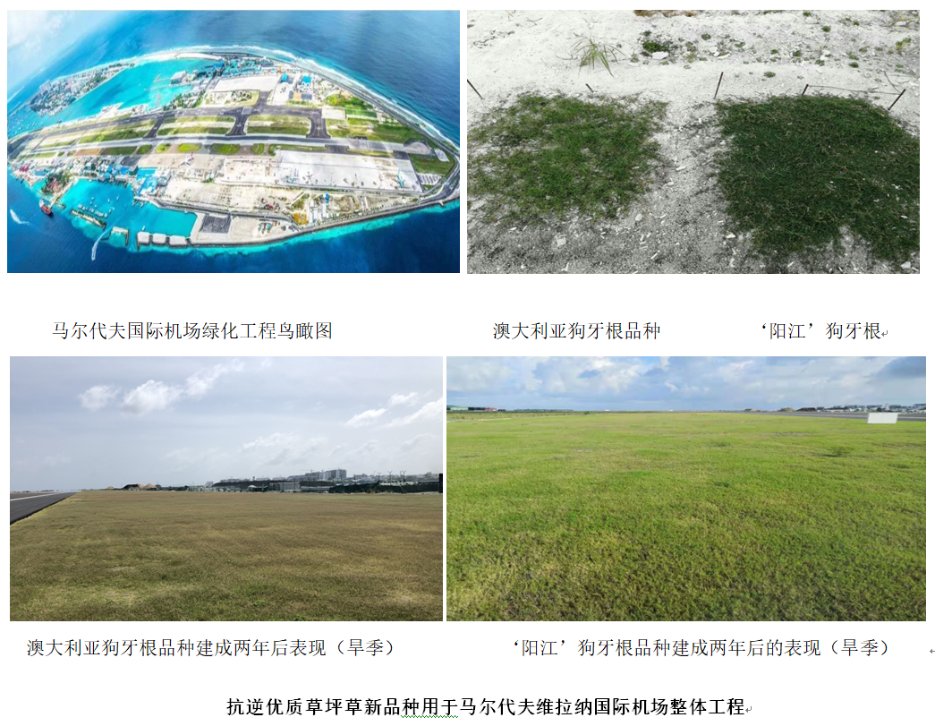 【科技战疫】战疫情助生产，助推草坪产业稳步发展