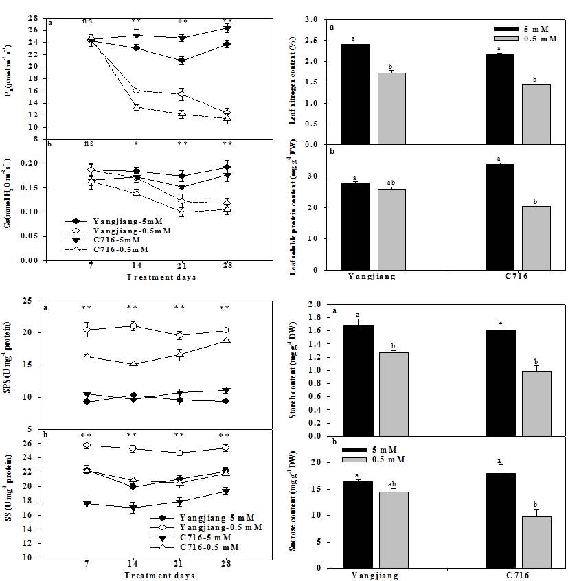 永盈彩票在狗牙根低氮胁迫研究方面取得新进展