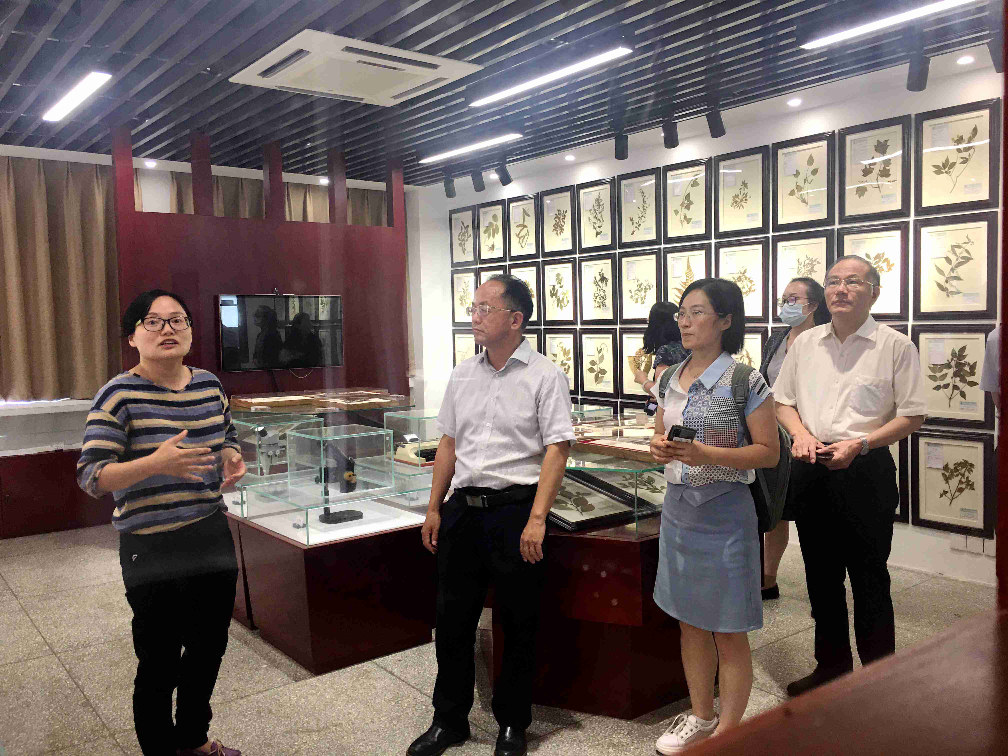 中国绿色时报社参观标本馆.jpg