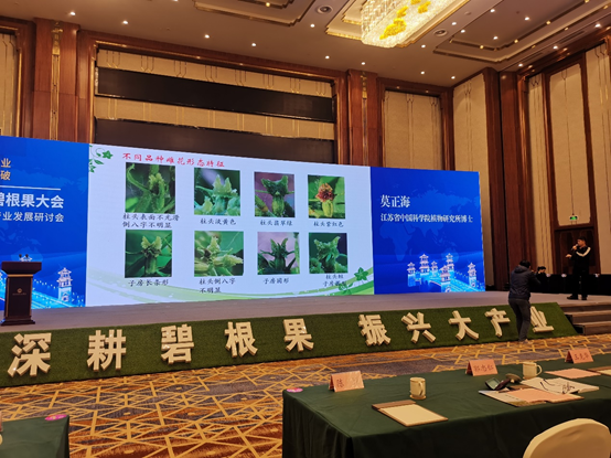 永盈彩票联合举办第四届中国碧根果大会暨泗洪县碧根果产业发展研讨会