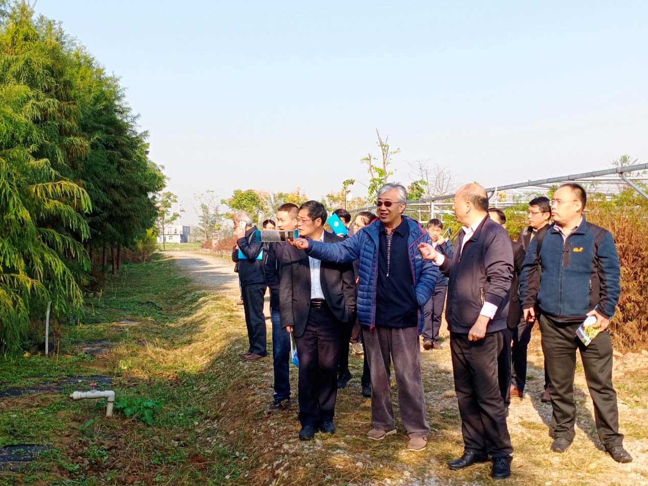 省农业科技自主创新资金重大项目&ldquo;优新树种选育与高效栽培技术方案&rdquo;通过验收
