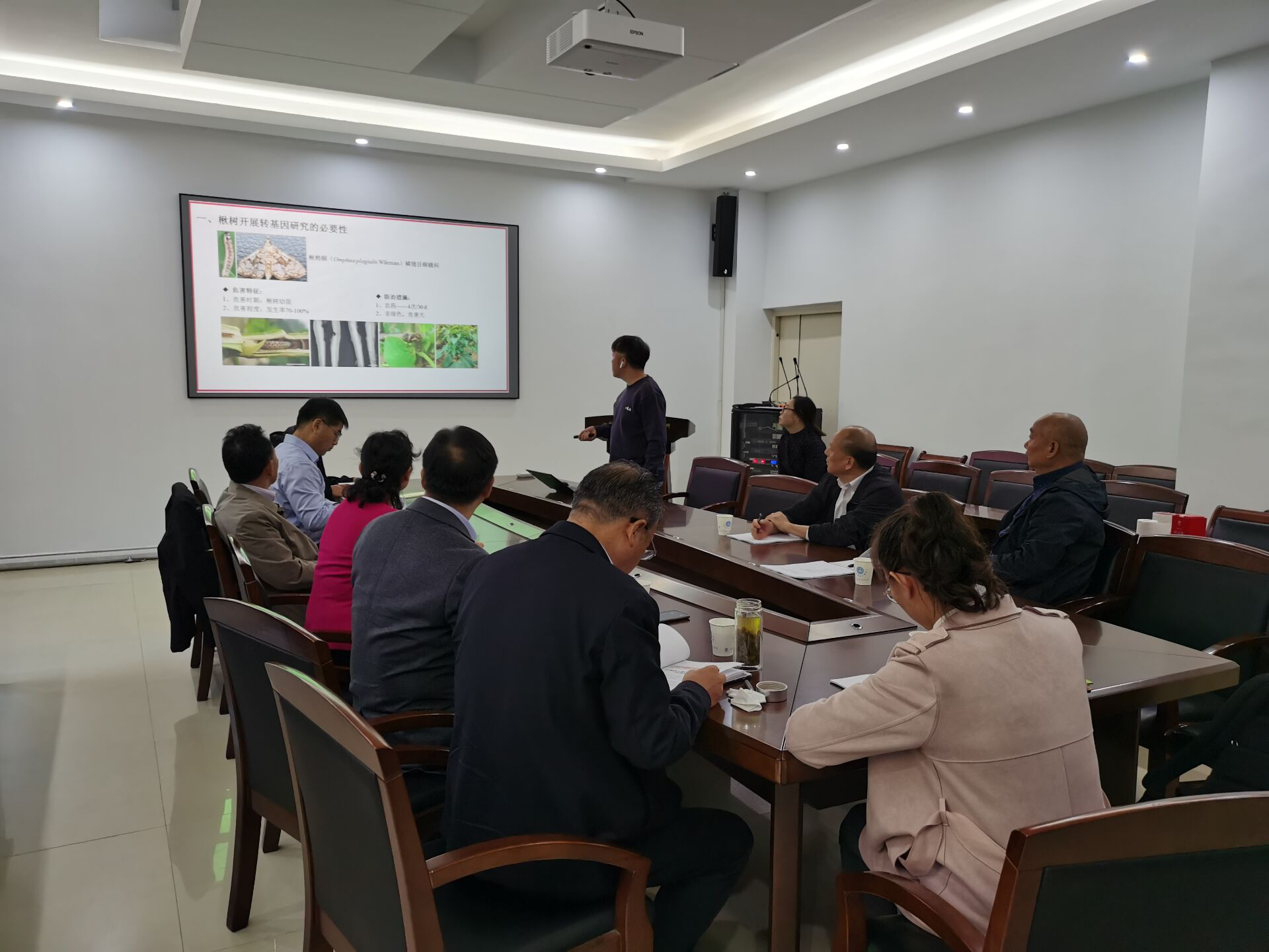 观赏植物研究中心的转Bt基因楸树中间试验获行政许可