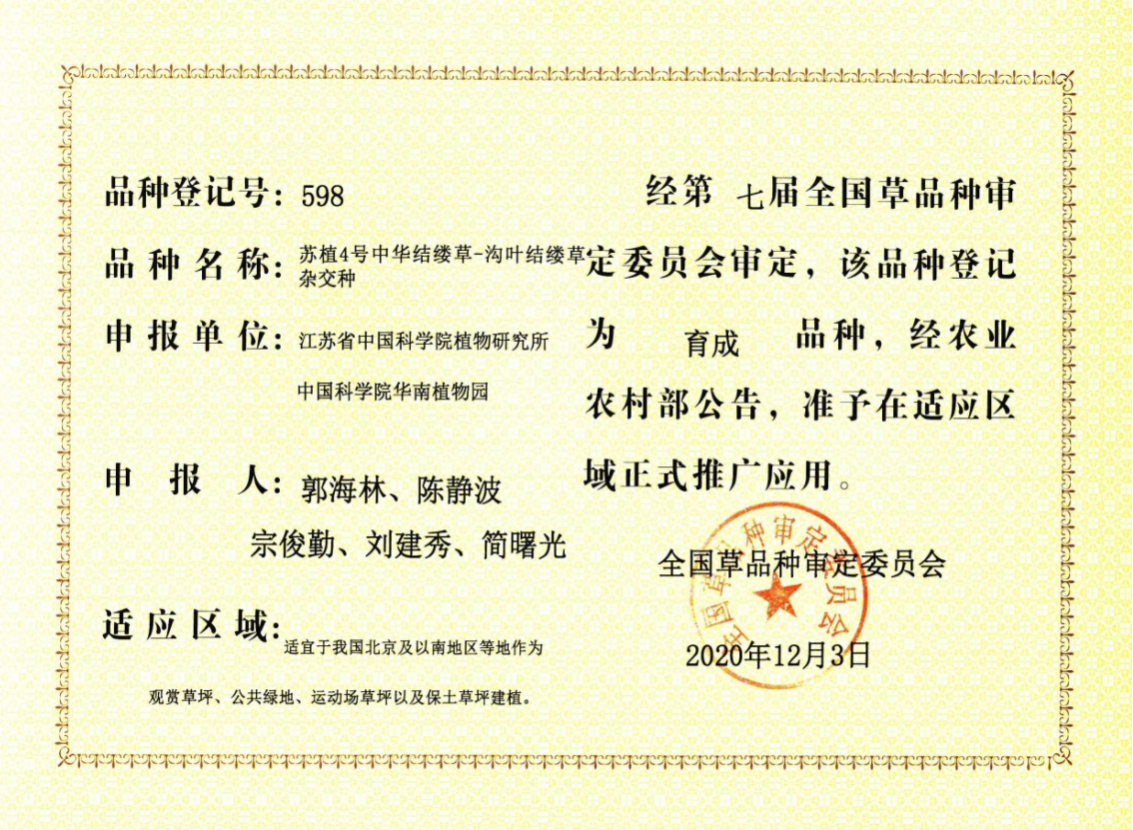 我所自主选育的&lsquo;苏植4号&rsquo;杂交结缕草新品种通过国家审定