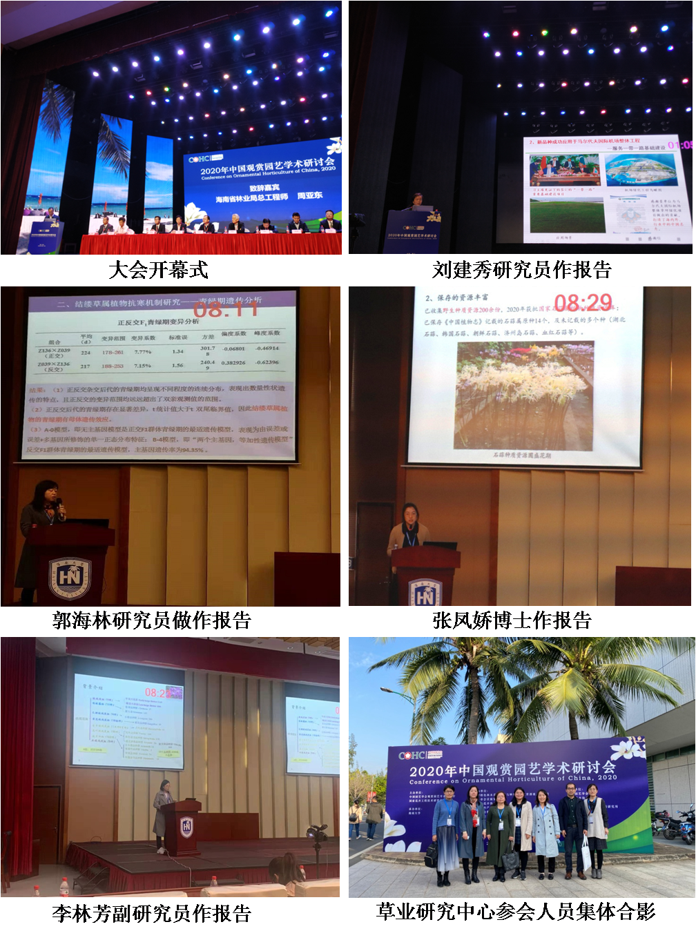 我所科研人员参加2020年中国观赏园艺学术研讨会