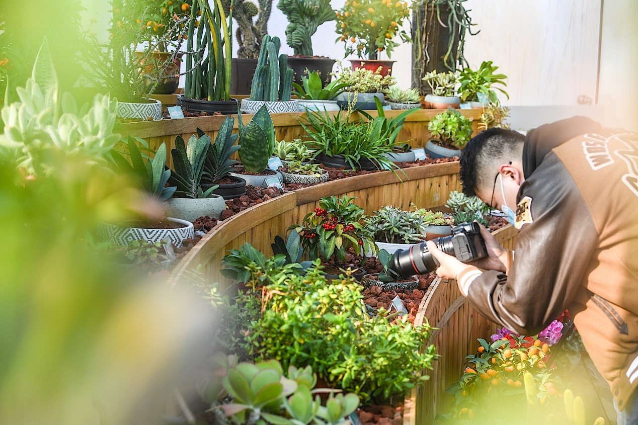 神奇的植物也叫&ldquo;牛&rdquo;！春节去中山植物园看十二生肖植物展