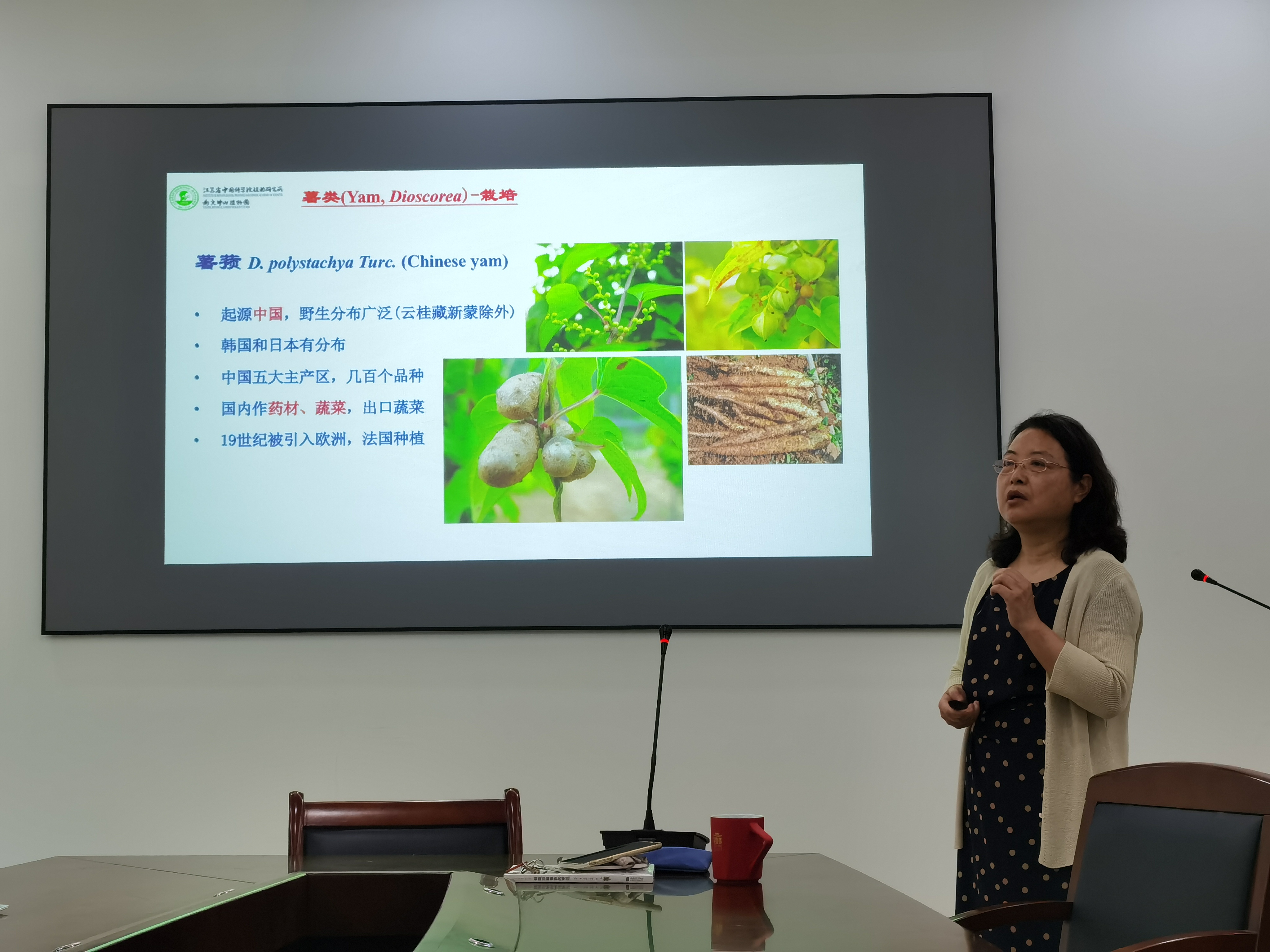 植物多样性与系统演化研究中心举办学术报告