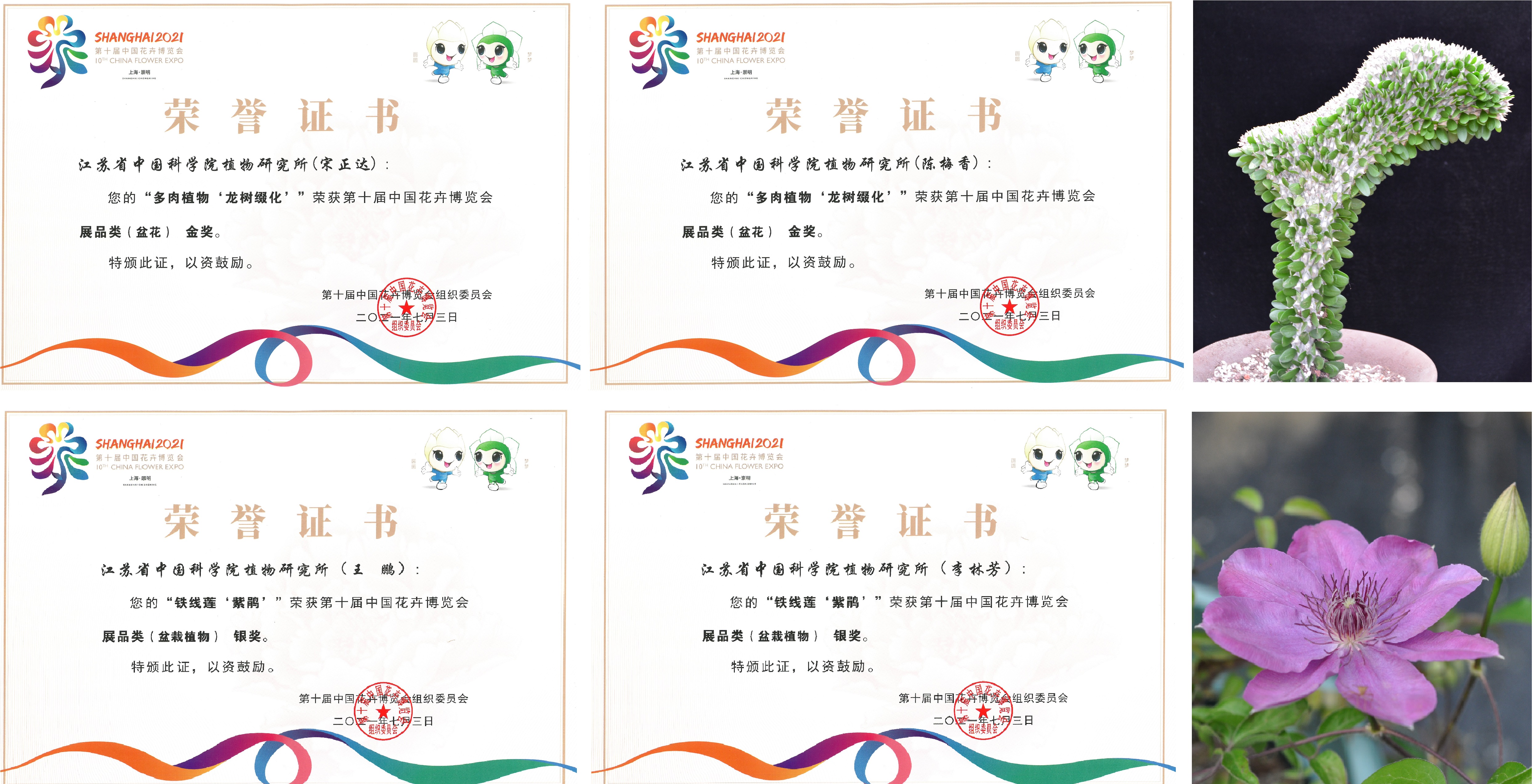 金奖银奖.jpg 金奖银奖.jpg