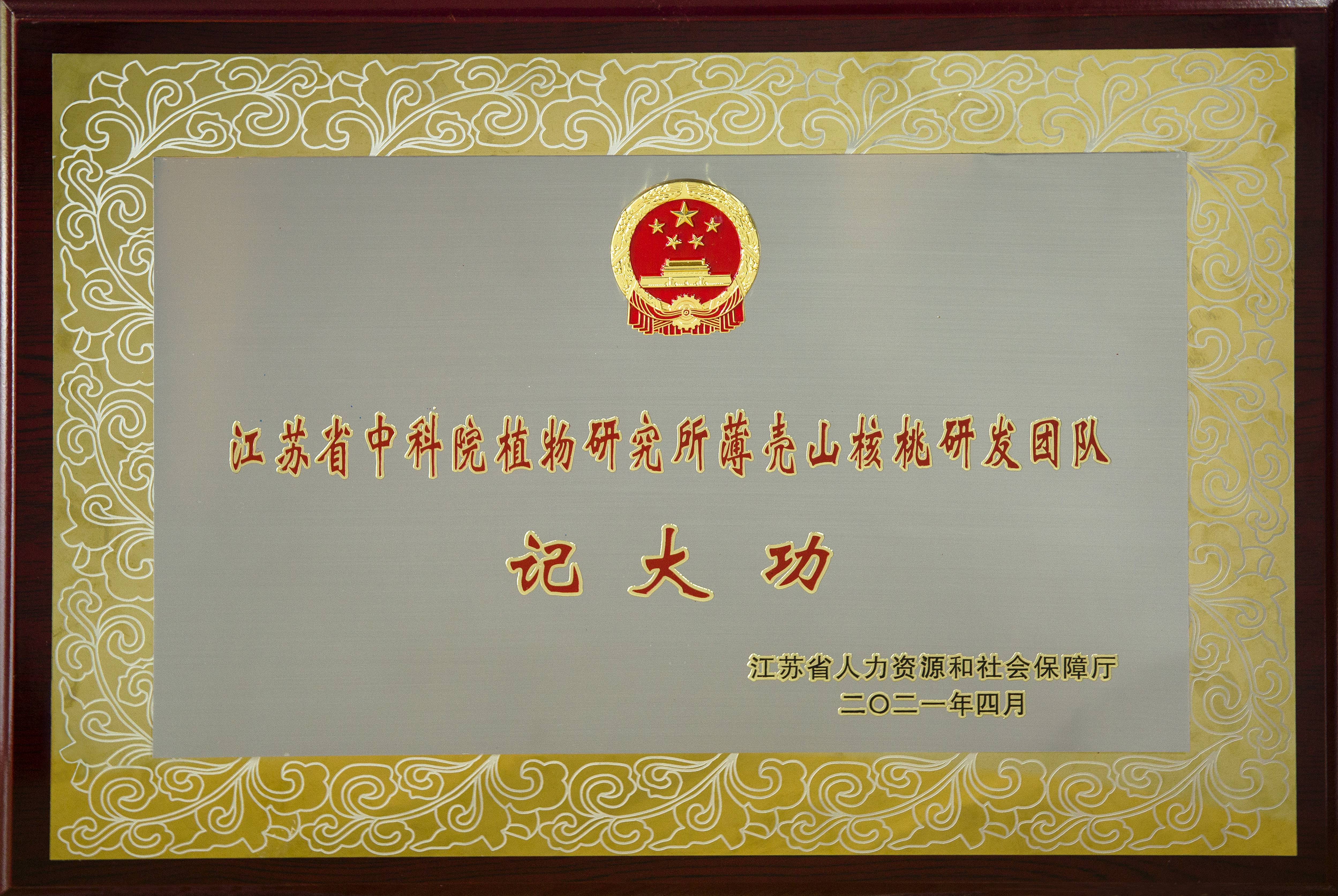 【我为群众办实事】我所薄壳山核桃研发团队获脱贫攻坚记大功表彰