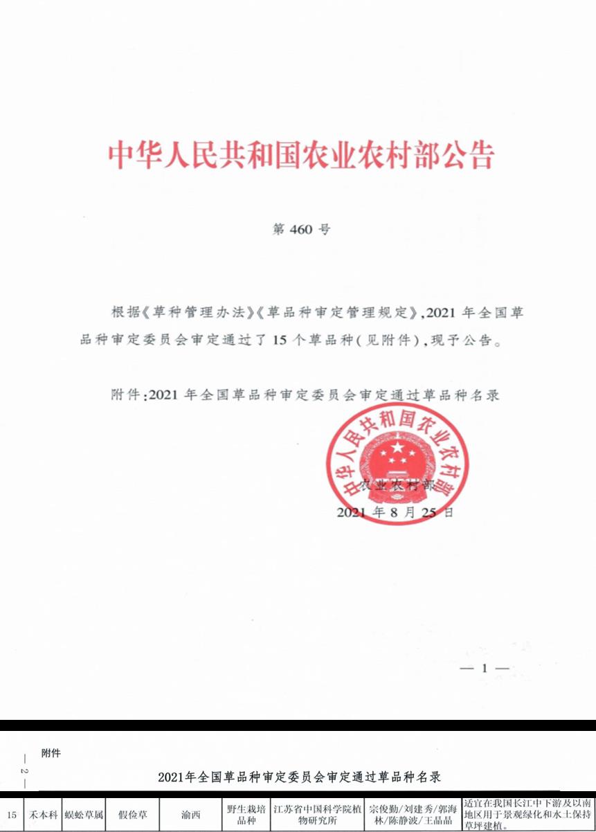 我国首个种子繁殖型假俭草新品种&mdash;&lsquo;渝西&rsquo;假俭草通过农业部审定