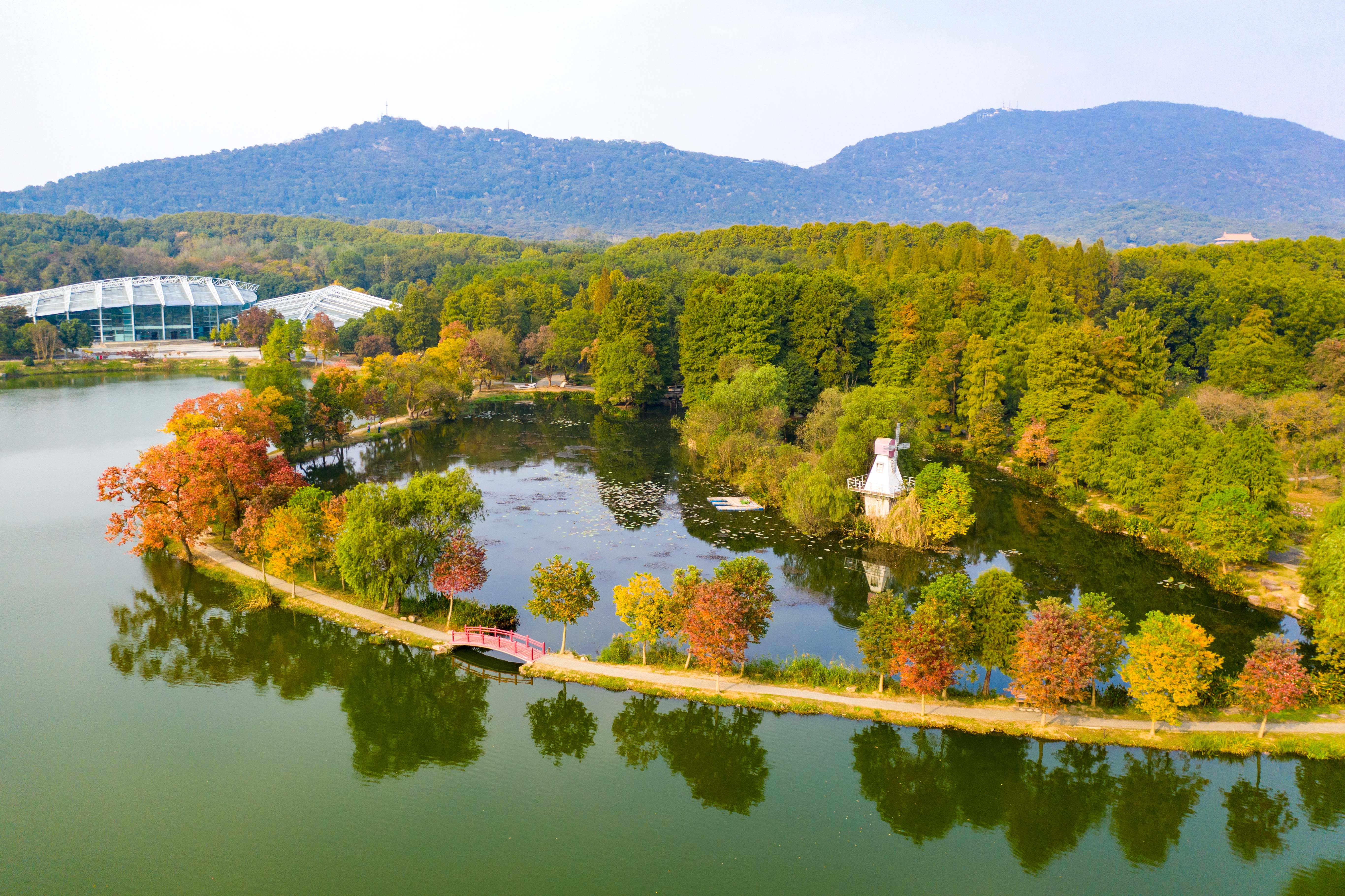 漫步南京&ldquo;乌桕堤&rdquo; 犹如走进五彩画卷