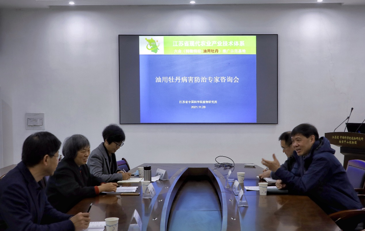 植物生态与环境研究中心举办&ldquo;油用牡丹病害防治专家咨询会&rdquo;