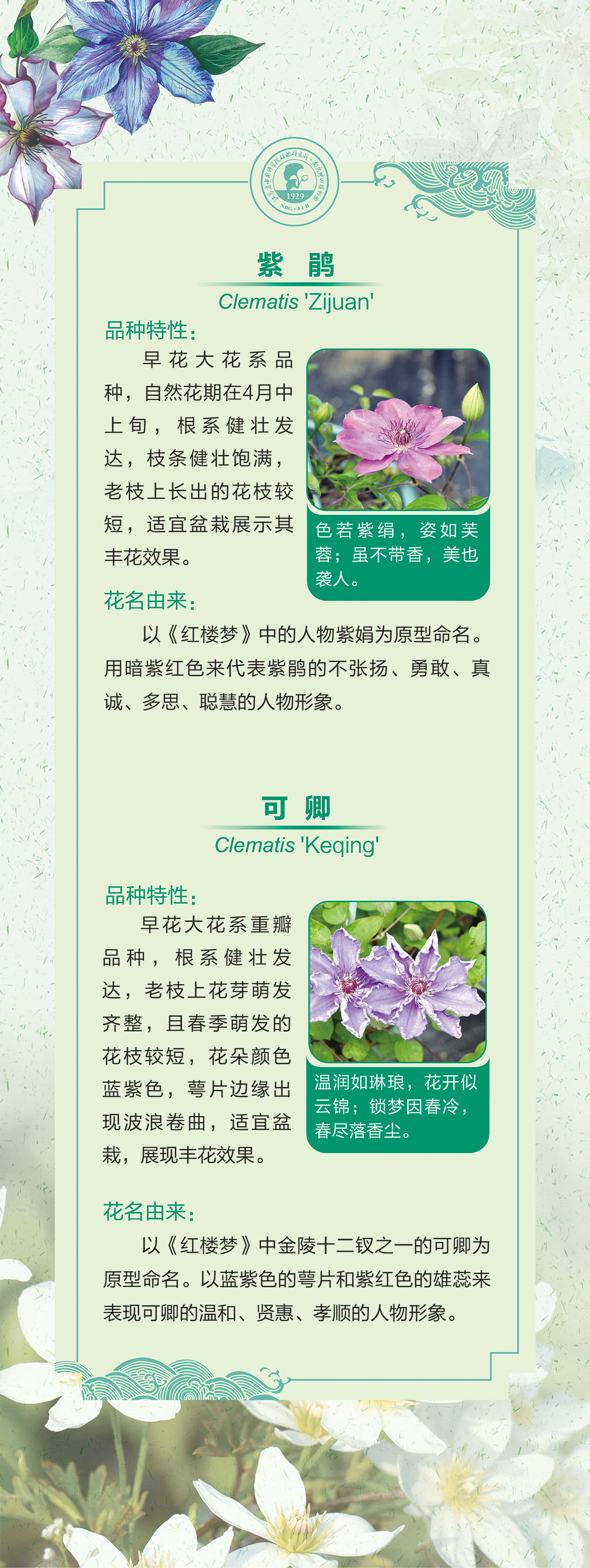 11展板60 乘以159.51 -2cm-05.jpg