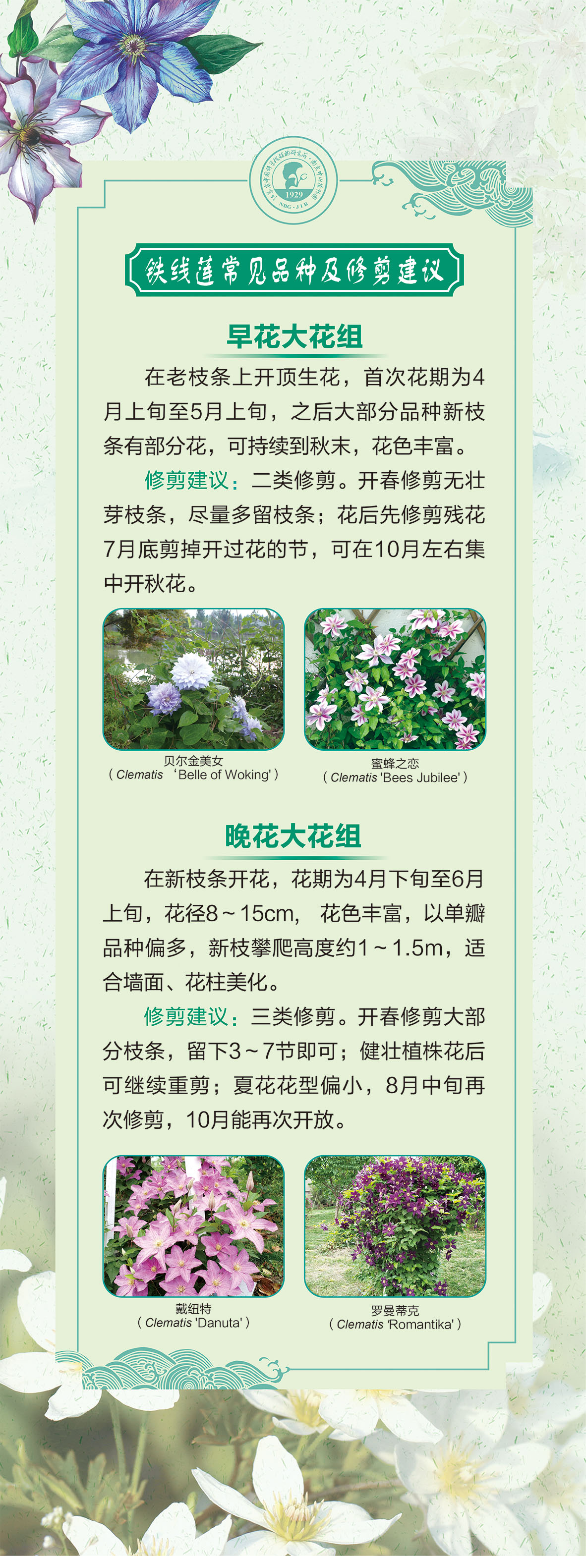 06展板60 乘以159.51cm-1-06.jpg